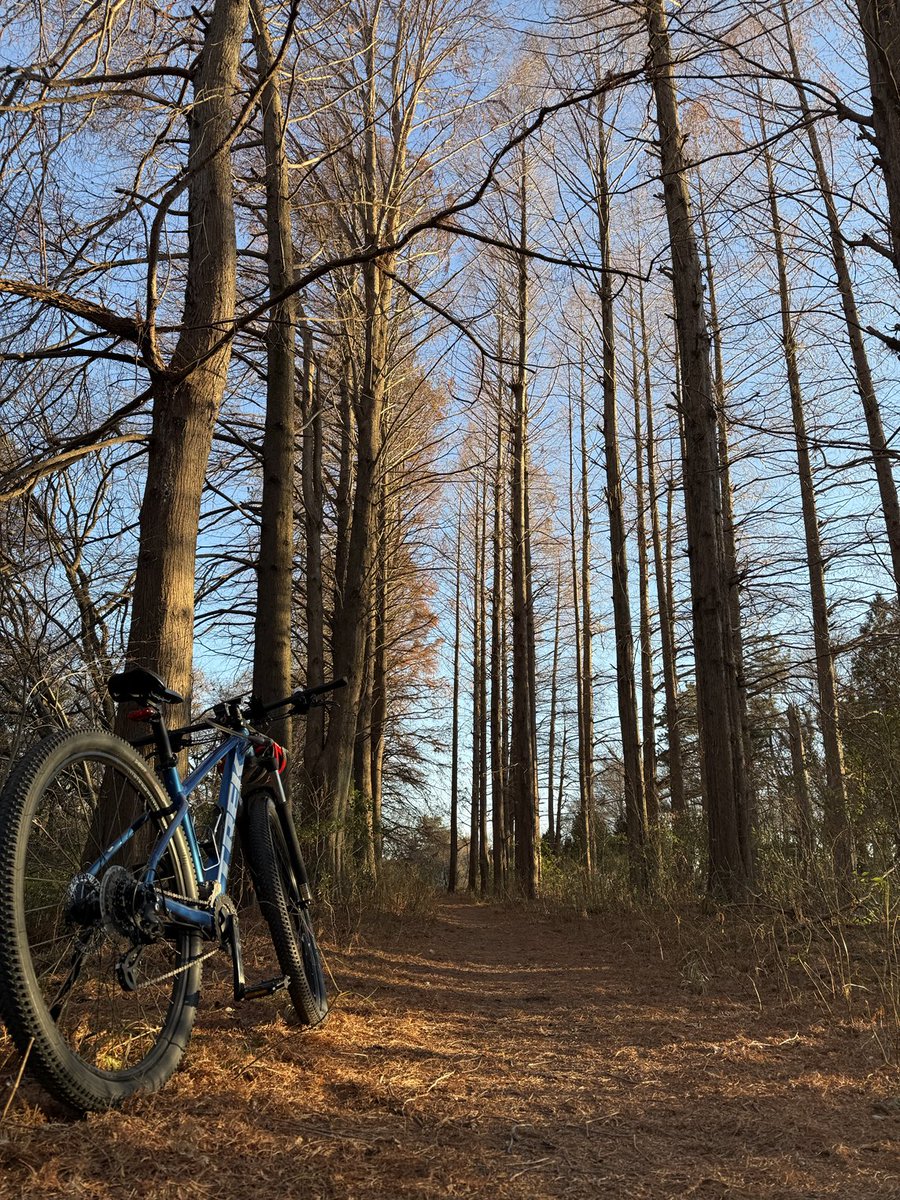 シューティングスター (@44shootingstar) / Posts / X