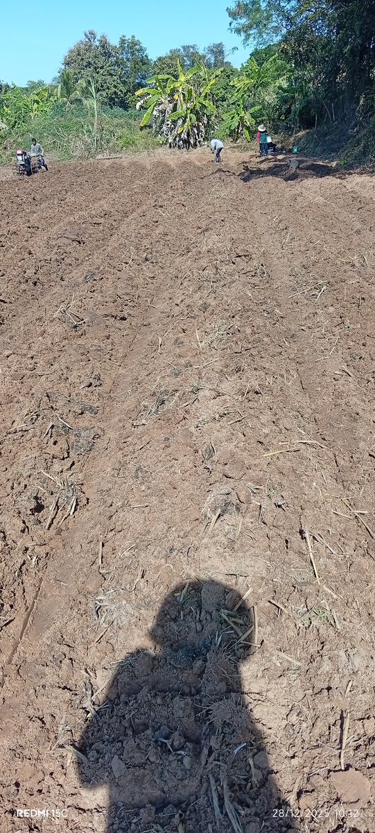 ต้นคับ_789 tweet media