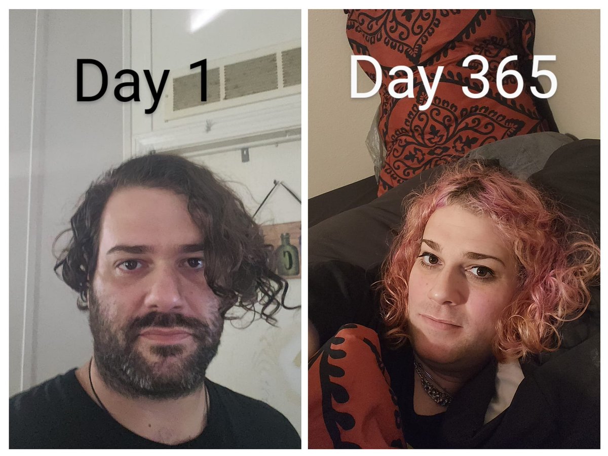 Gay Not Queer tweet media