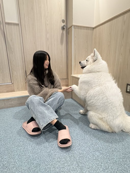 あいにゃんのTwitter画像9
