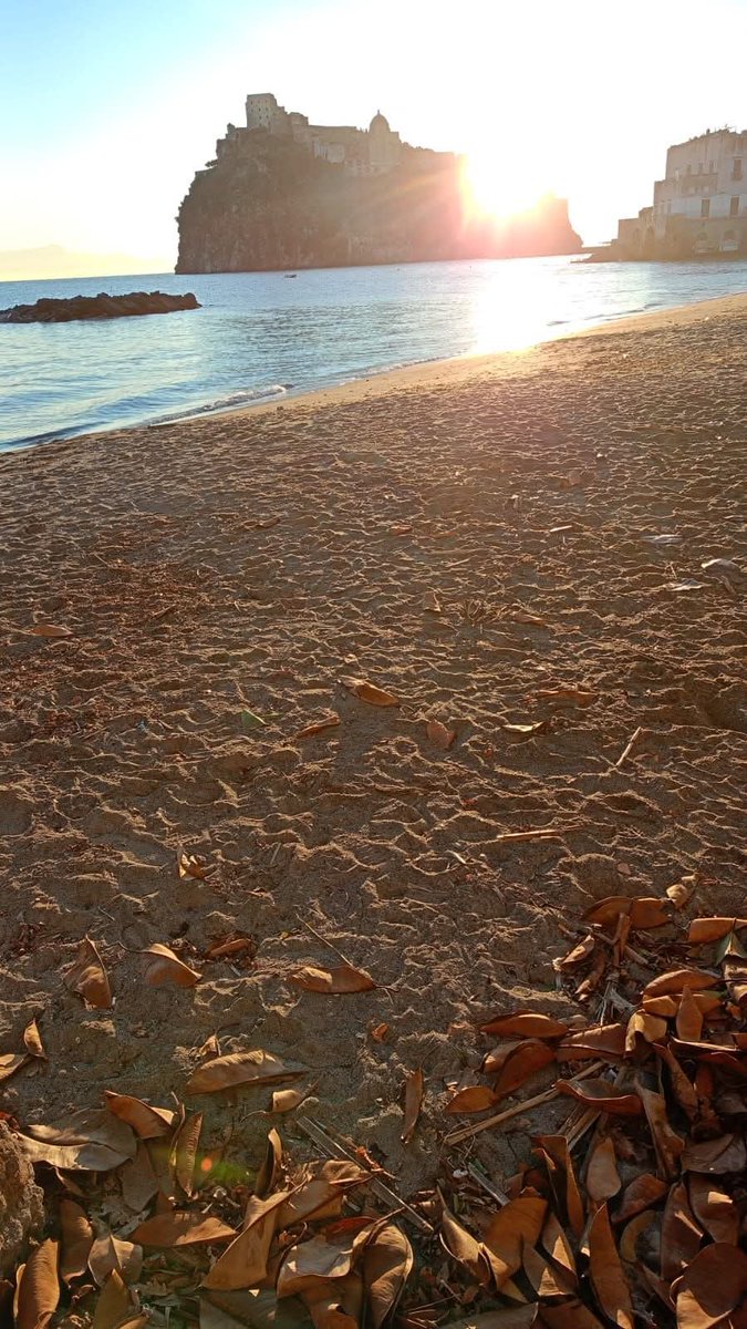 Patrizia💙 tweet media