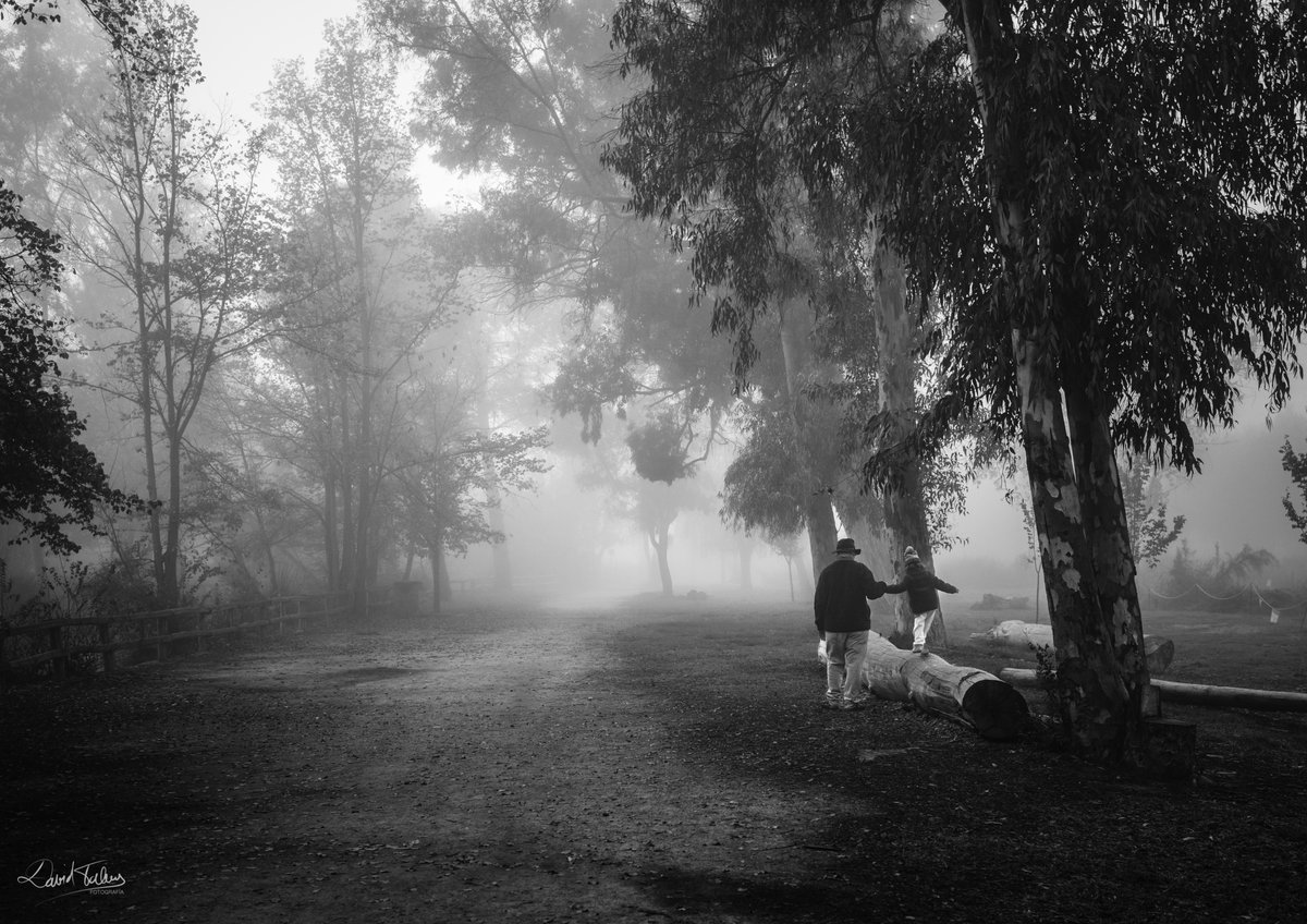 David Talens Perales tweet media