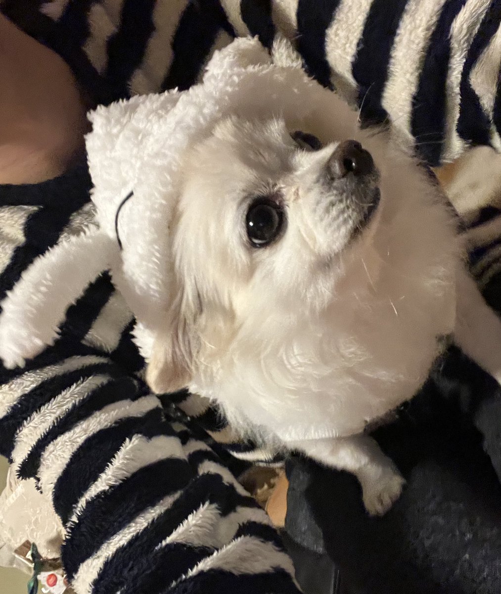 さんぺい (@3pei_0925) / Posts / X