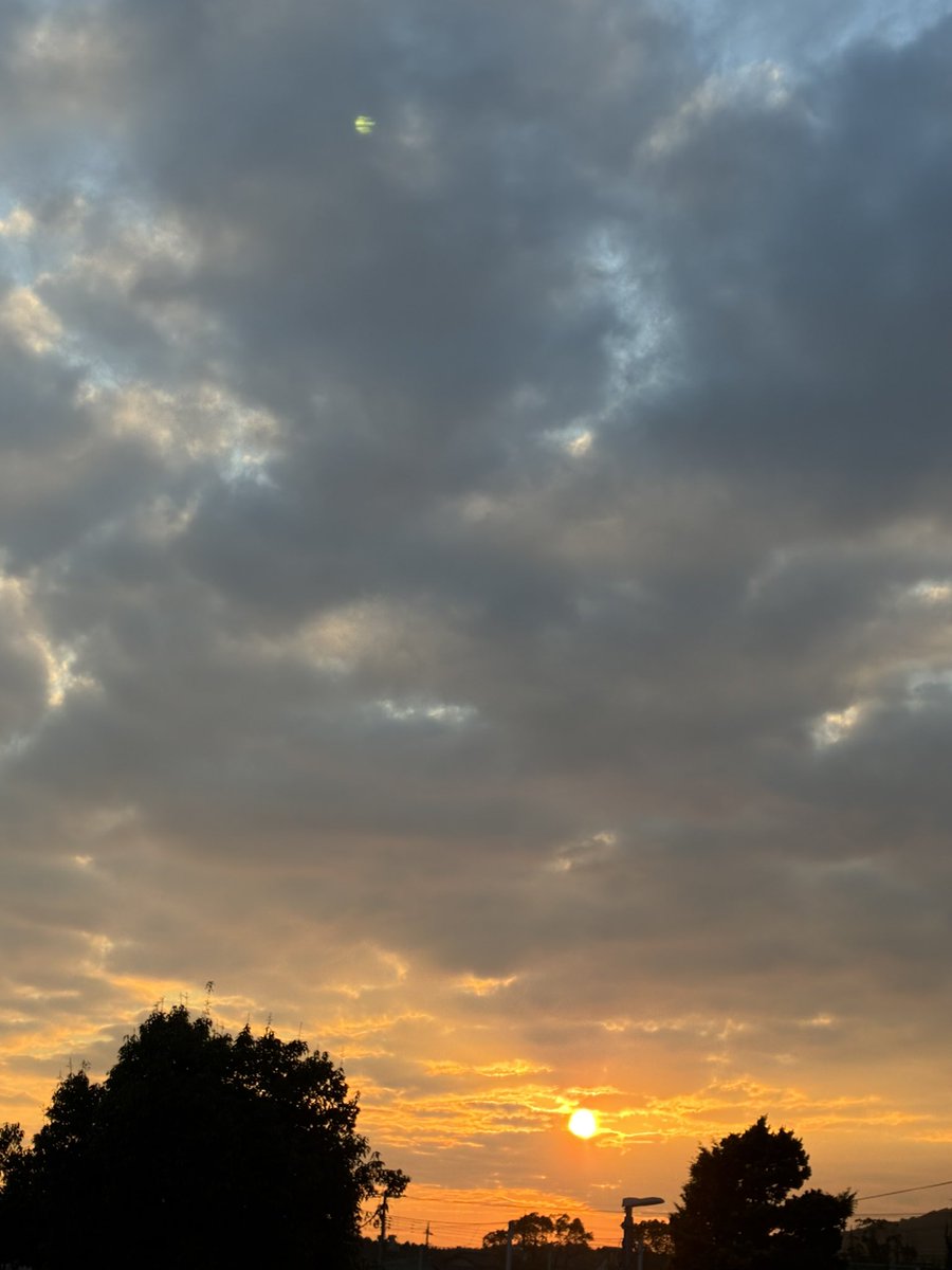 nekonohige168's tweet image. 冬至を過ぎ
何だか明るい日暮れ前🔆

#イマソラ