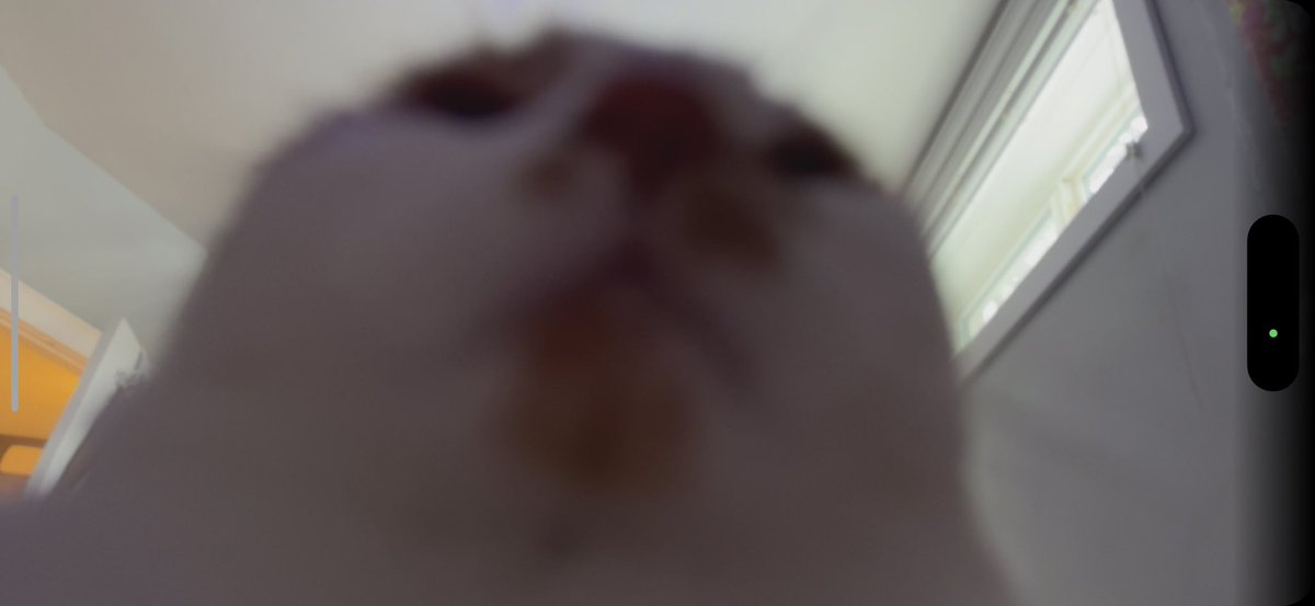 Gn guys luv you <333