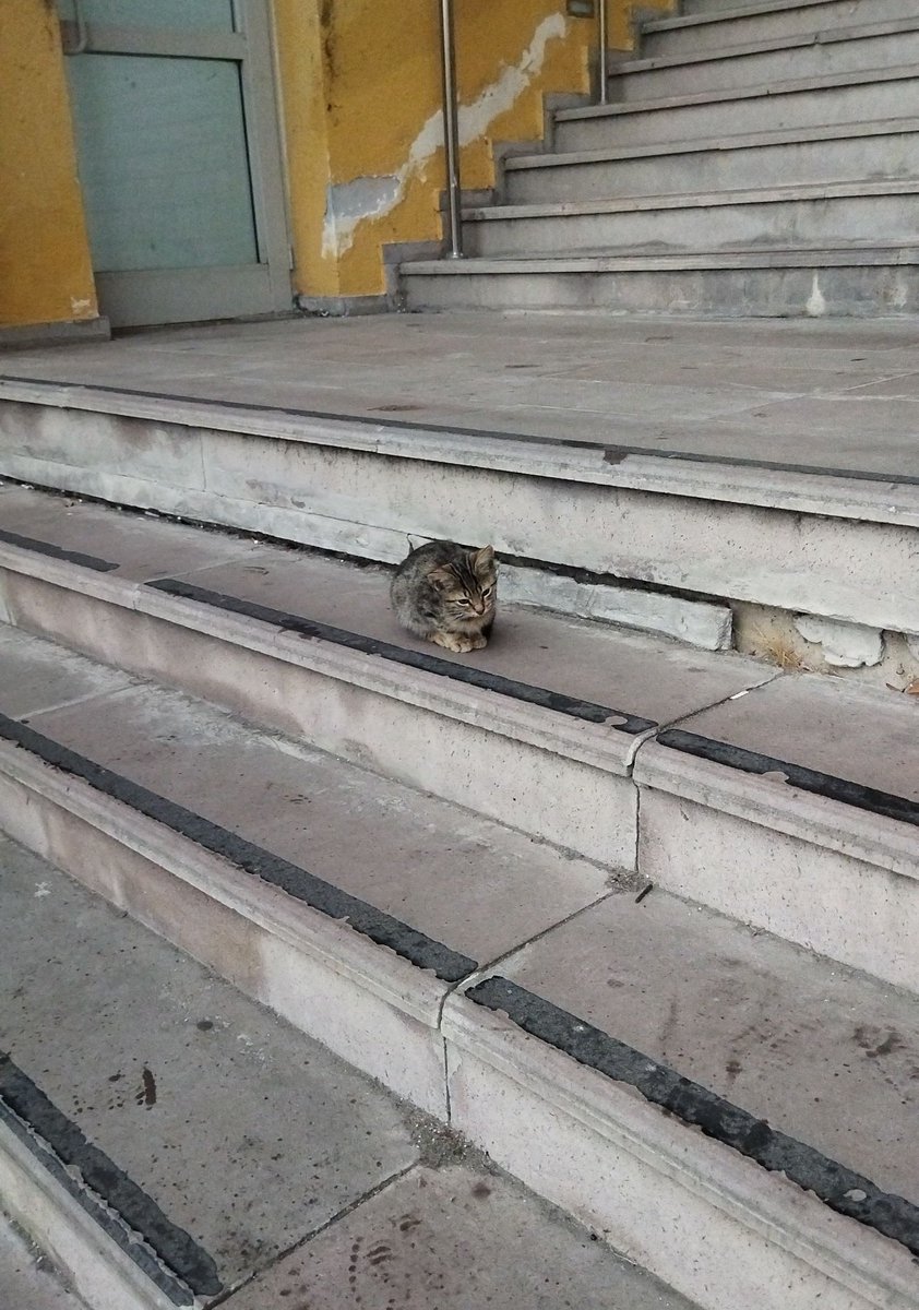 Sudert (@rockstarbiri) on Twitter photo 