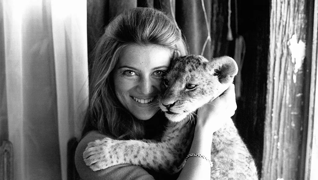 Robert #TeamRobert tweet media