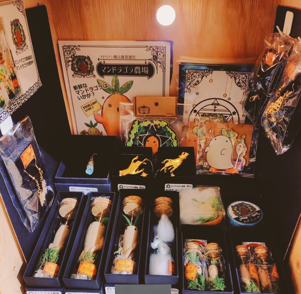 マンドラゴラ農場🌱 (@tidoriasshi) / Posts / X