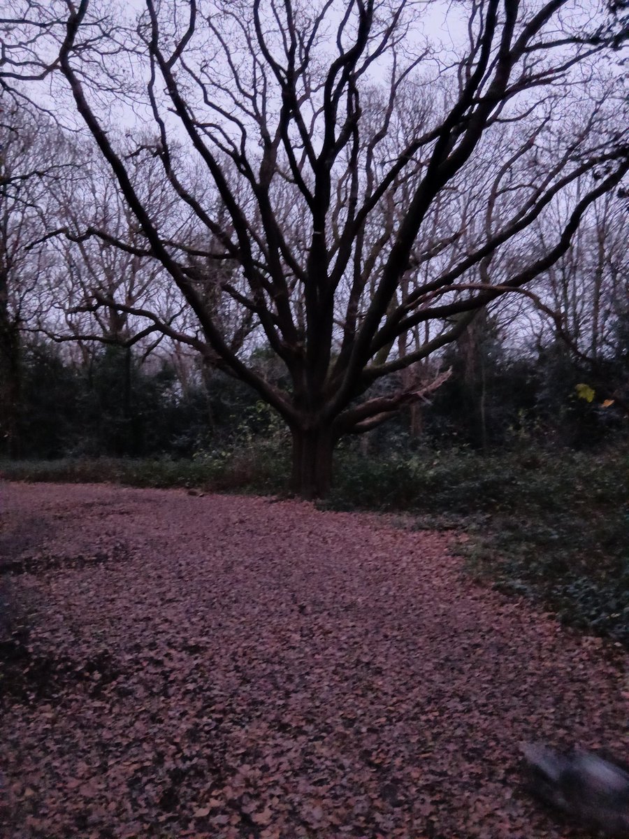 Charlie Arthur tweet media