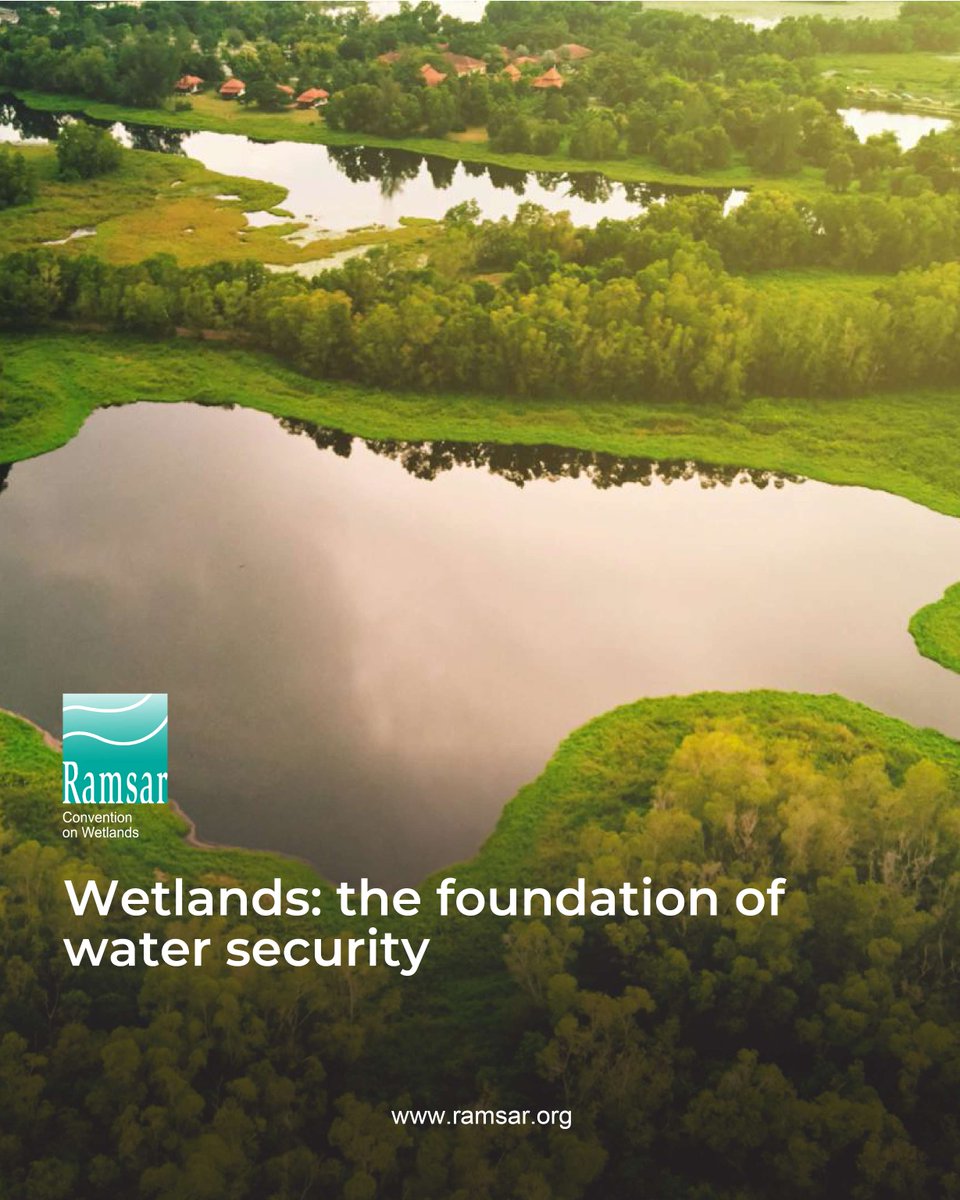 🌊 We cannot talk about global water security, climate resilience, or disaster prevention without recognizing the central role that wetlands play. 

🍀 Protecting wetlands is protecting our water and protecting water is protecting life itself. 

#WeNeedWetlands #WetlandsMatter