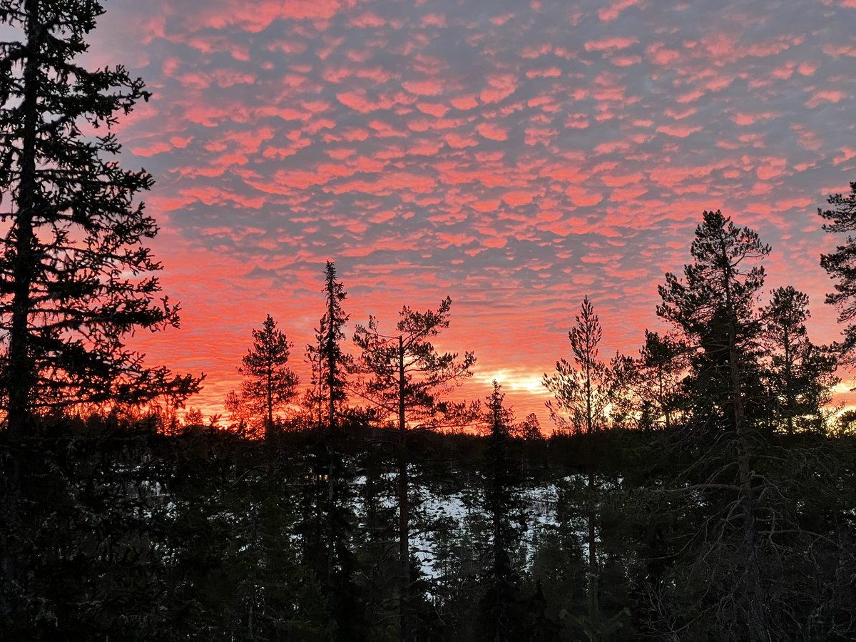 Anne Grete Hagby tweet media