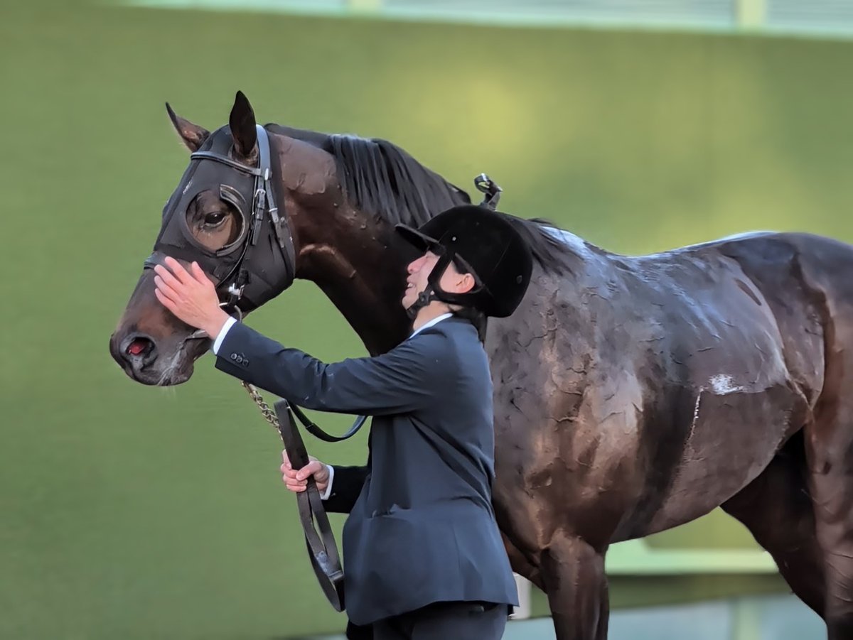 ゆっきー🌈🌈 (@y5u3k1i2k6o) / Posts / X