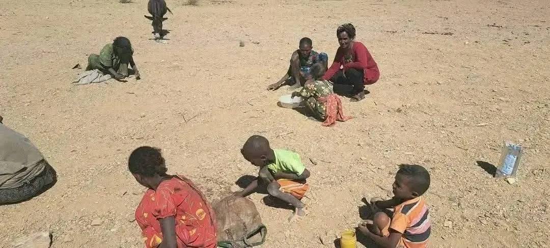 ሚዘር ኣላ 'ኮ ✨ tweet media