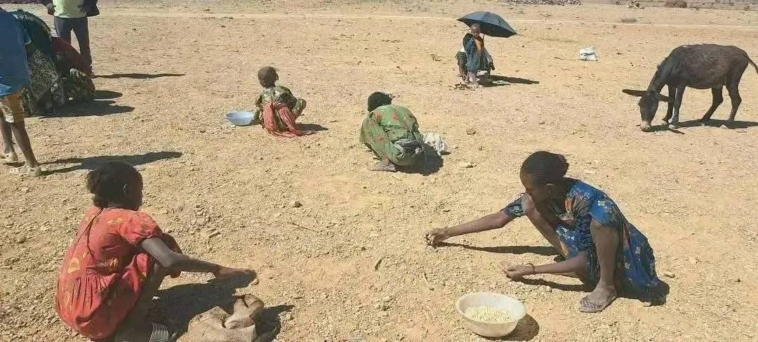 ሚዘር ኣላ 'ኮ ✨ tweet media