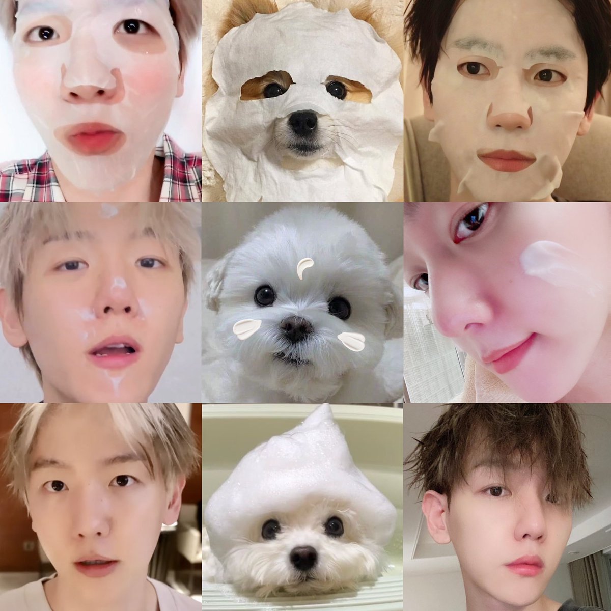 BH_506___'s tweet image. 백현시