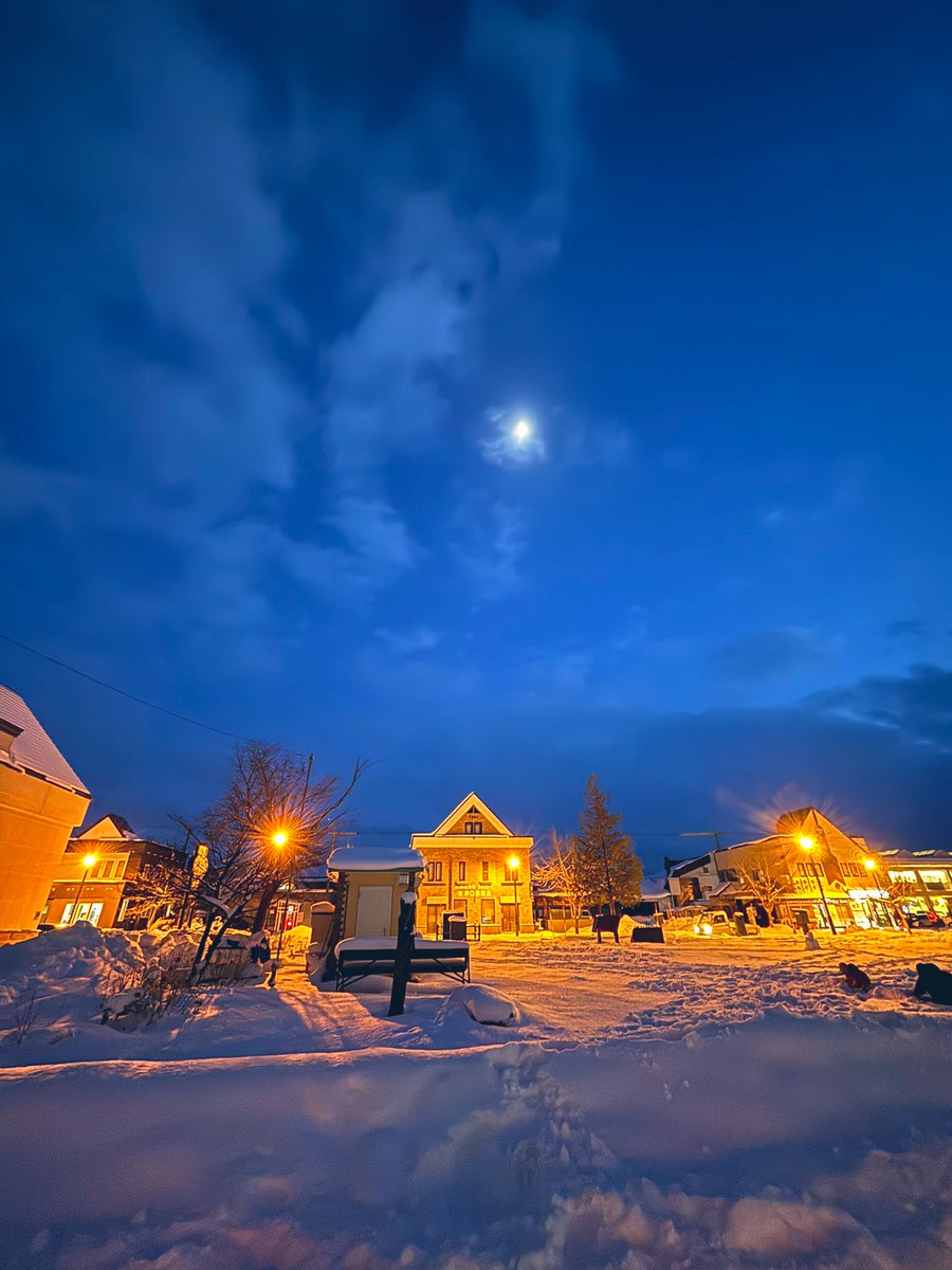 まりも™ tweet media