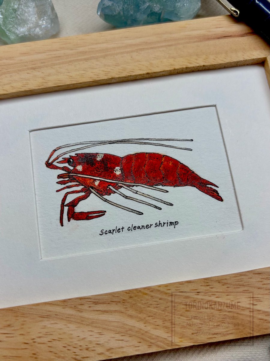 赤地に白星
#アナログ絵