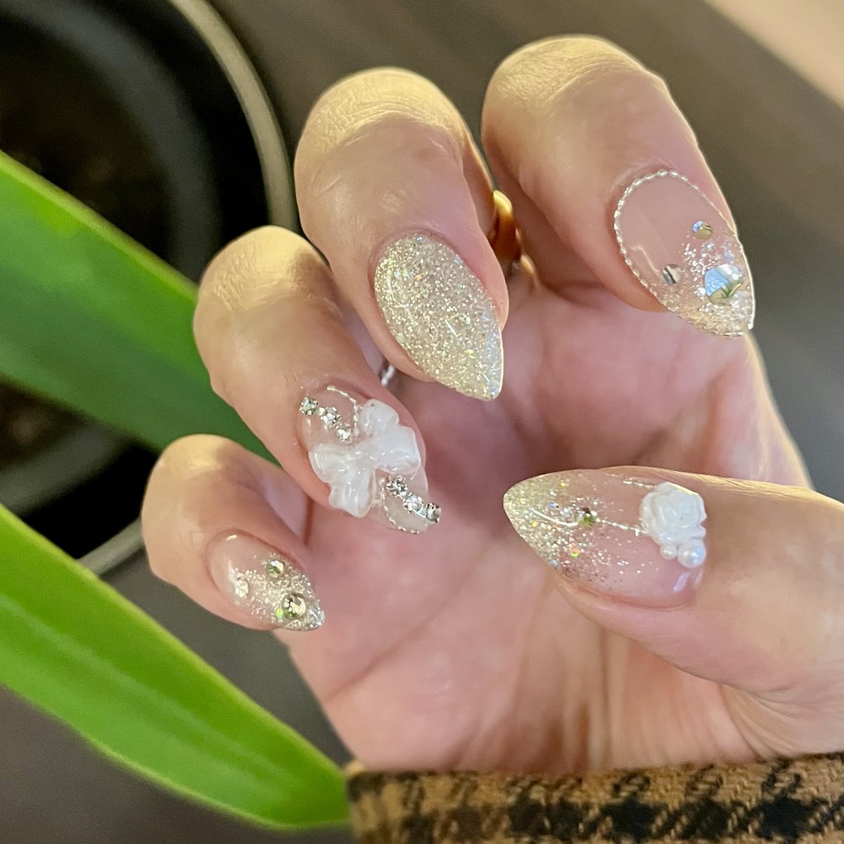 ミモモ姉さん🇯🇵 (@mimomo_nesan) / Posts / X