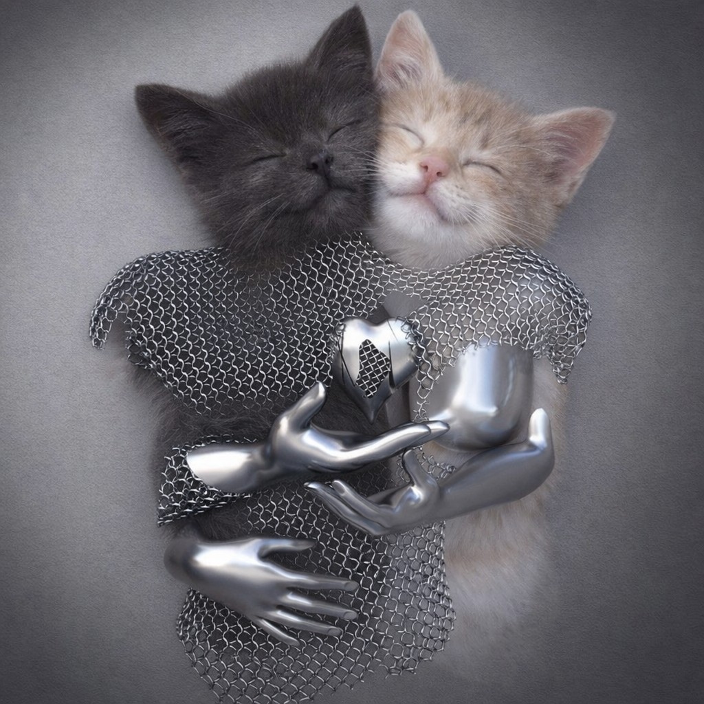 What do you see?

I see a cloak of abundance wrapped around those who walk in love

$yinyang