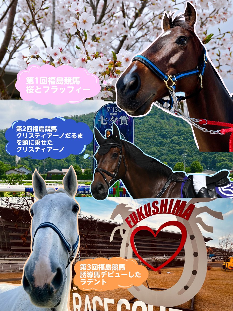 🏇2025年 感謝の御礼🏇 本日、中央競馬の全レースが終了いたしました
