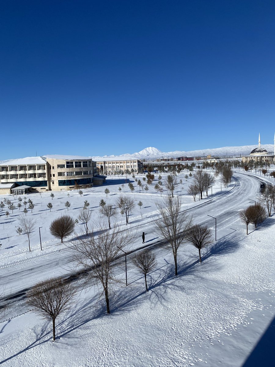 “Karı, pek bâridane ve tatsız telakki ederler. Halbuki o bârid, tatsız perdesi altında o kadar hararetli gayeler ve öyle şeker gibi tatlı neticeler vardır ki tarif edilmez”.