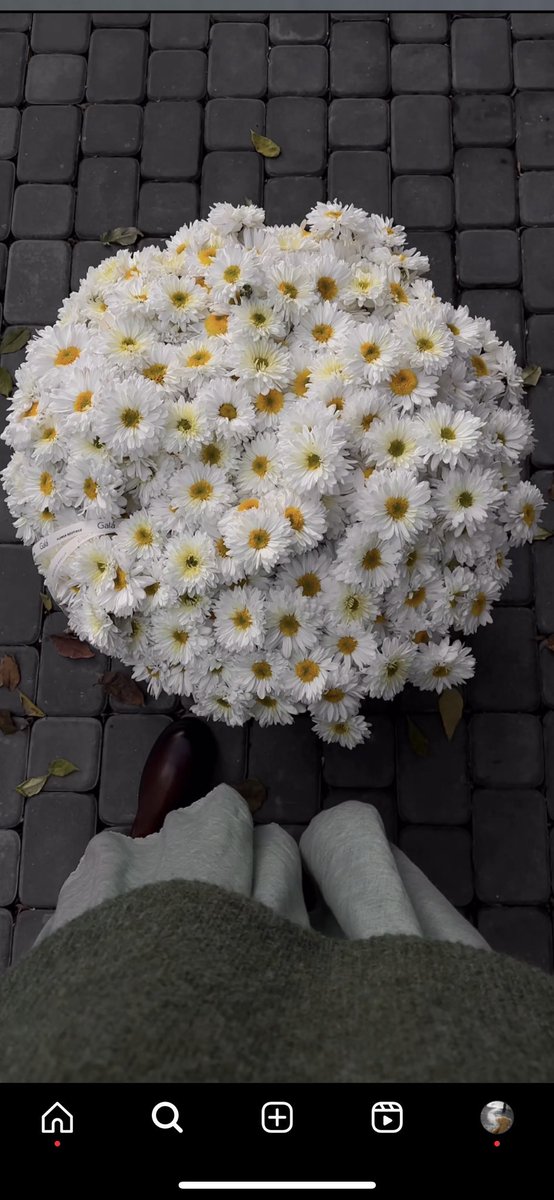 ندى الشمري tweet media