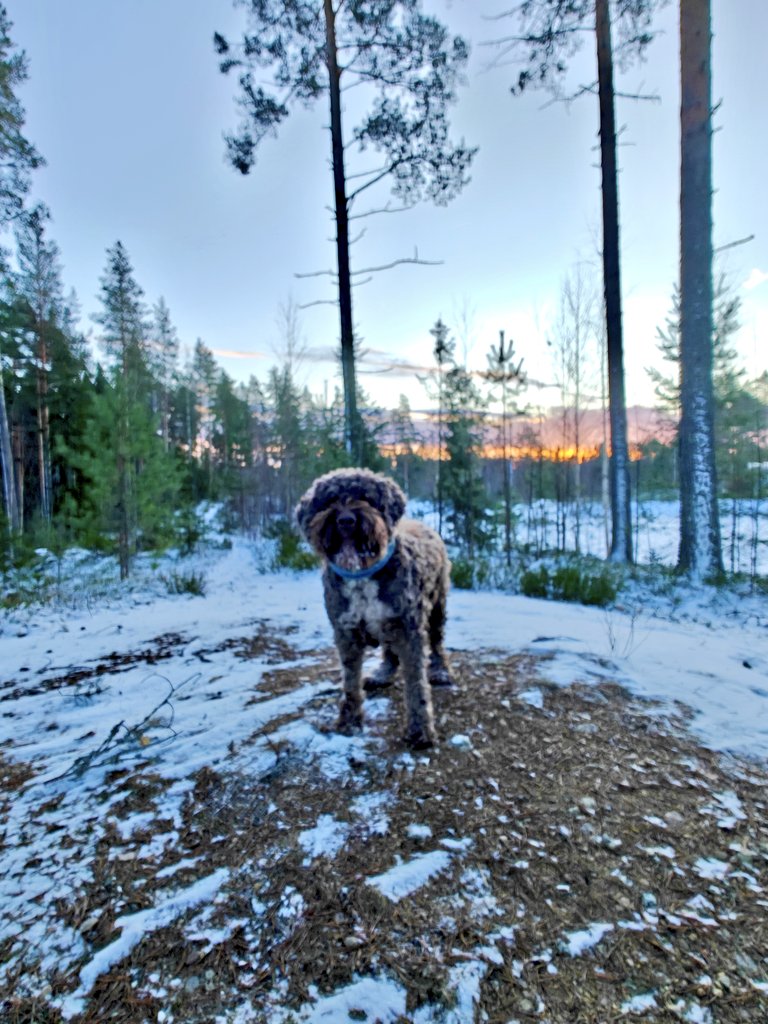 Huomenta ☺️ 
Tänään sorvin ääreen, mutta sitä ennen nautitaan kauniista ulkoilukeleistä.