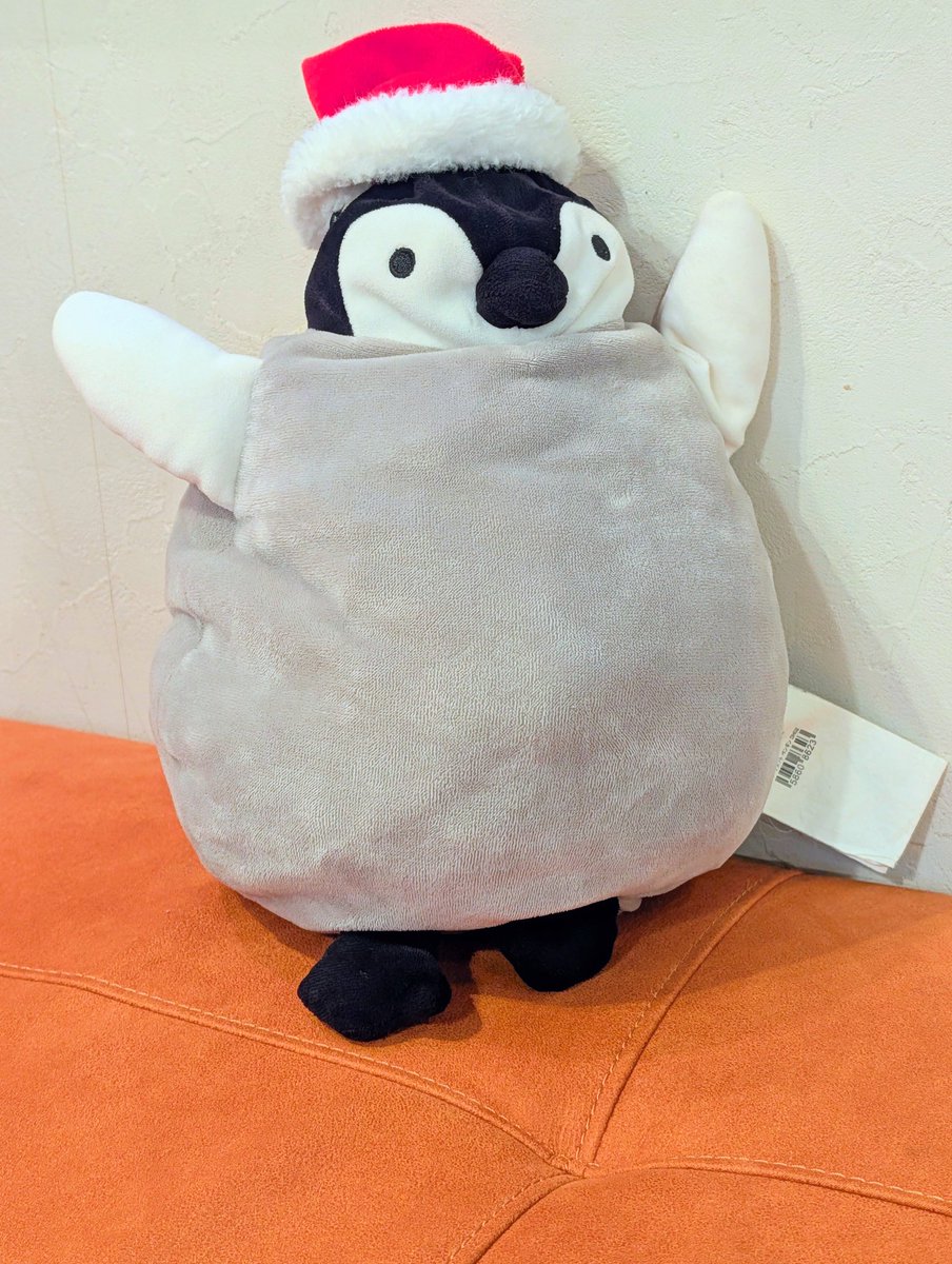 ゆずぽんず (@Yuzu_Ponze) / Posts / X