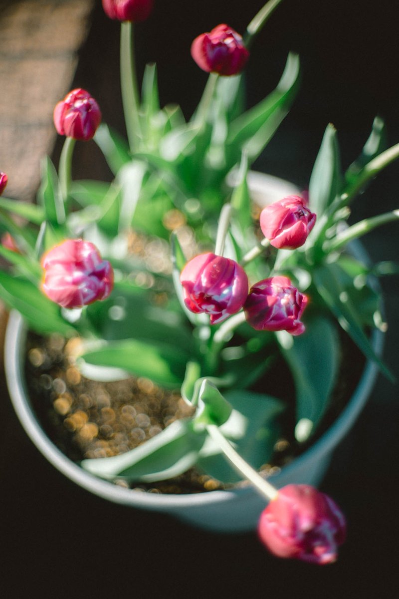 yakatagirl's tweet image. 