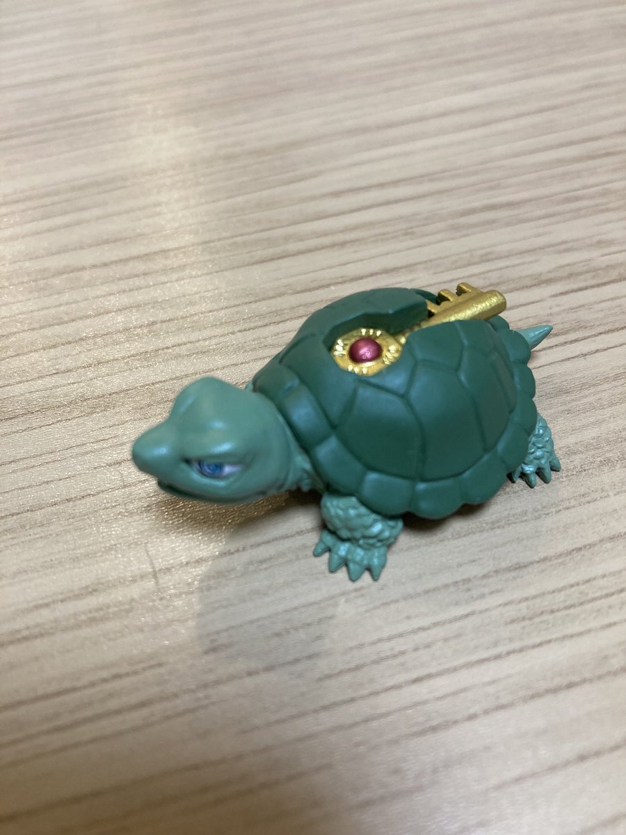 Post by ふうとん on X: カメ