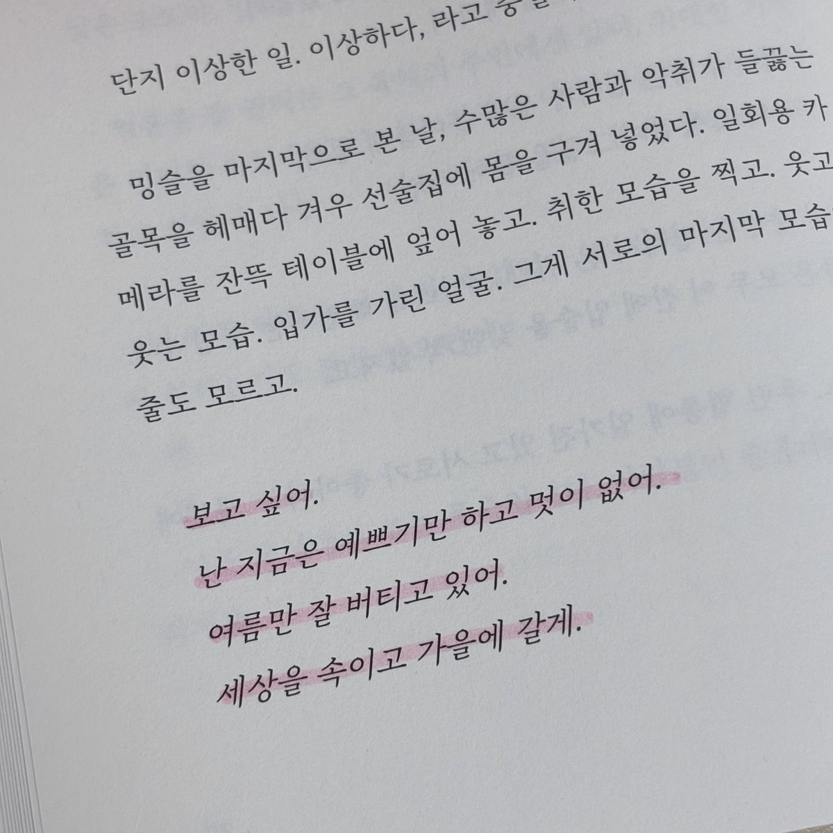 _ssunkissed77's tweet photo. 여름만 잘 버티고 있어.
세상을 속이고 가을에 갈게. https://t.co/iaBV5nmamB
