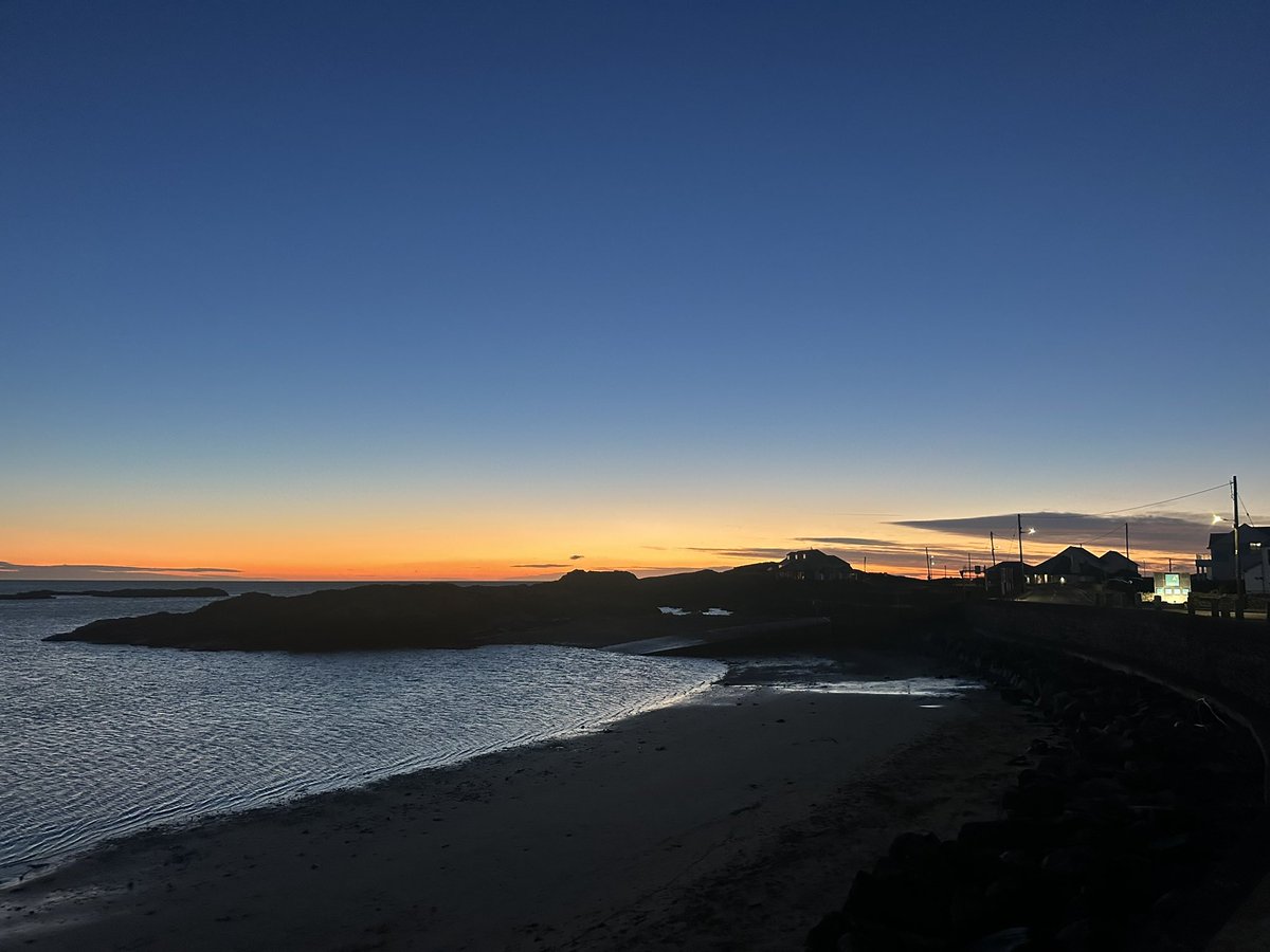 Katey Dent tweet media