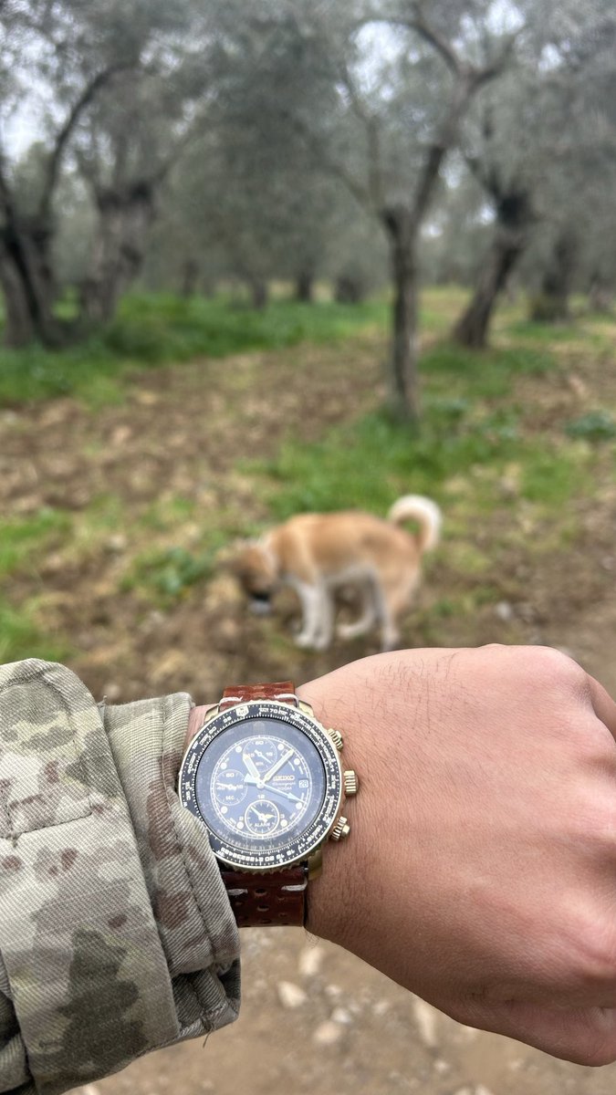 Huzurlu bir pazar sabahından herkese selamlar, chronoları kullanalım…