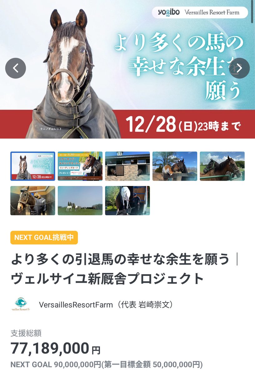 Versailles_Farm's tweet image. 📣 クラウドファンディング最終日 📣
【終了まで 残り6時間】

ご支援総額
77,000,000円 を突破しました！

本当に、本当にありがとうございます。
ひとつひとつのご支援が、
確実に馬たちの「これから」につながっています。

そして昨日、今日は、…