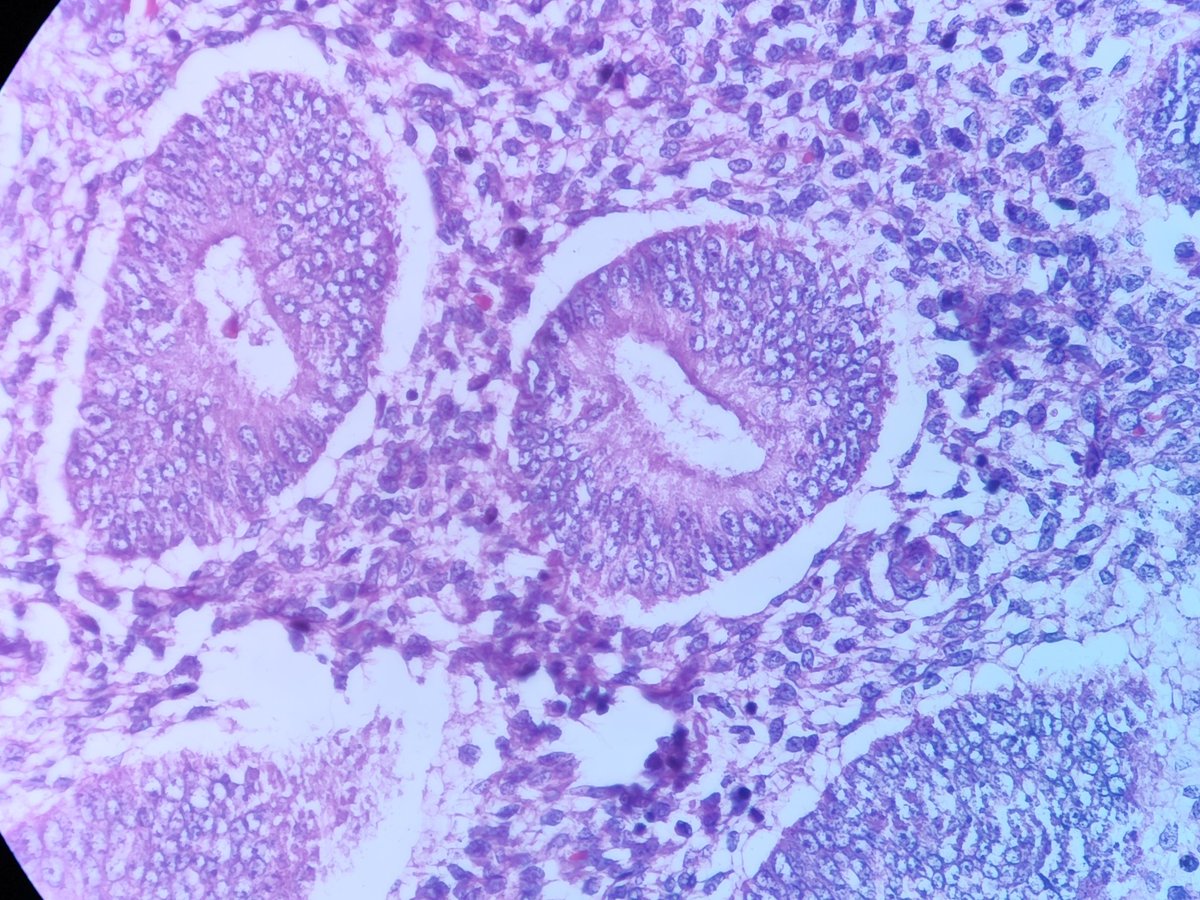 T.JeffLimMD tweet media