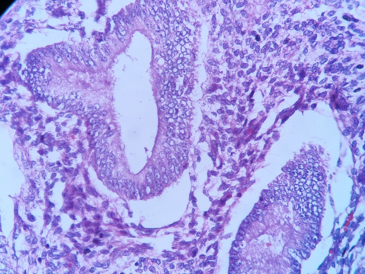 T.JeffLimMD tweet media