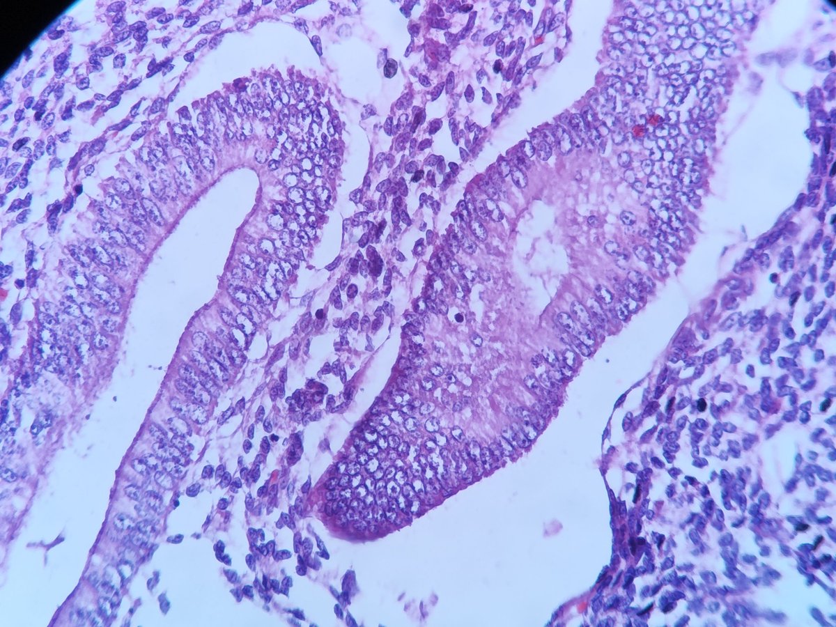 T.JeffLimMD tweet media