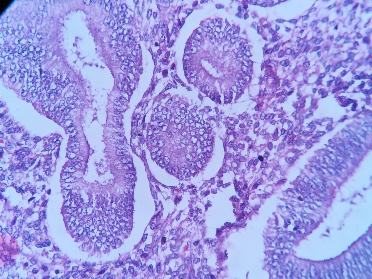 T.JeffLimMD tweet media