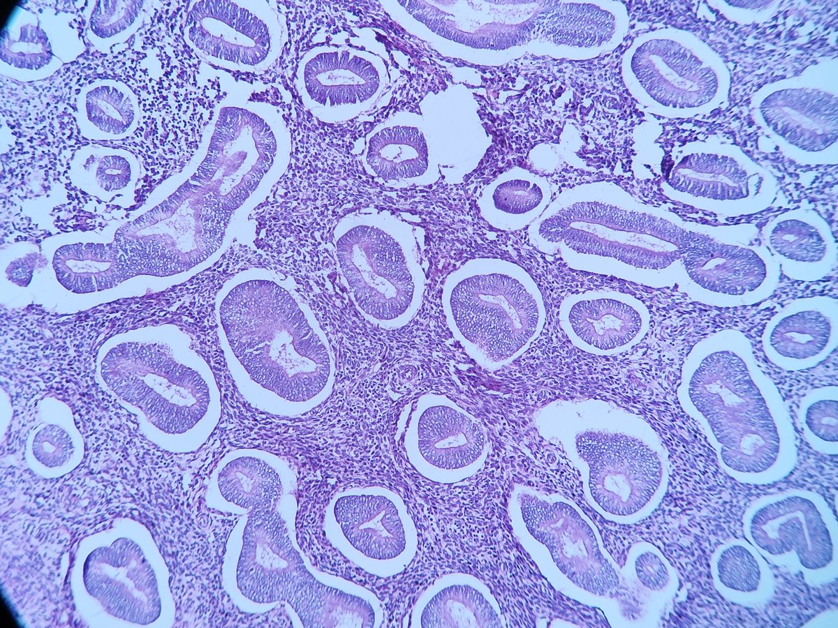 T.JeffLimMD tweet media