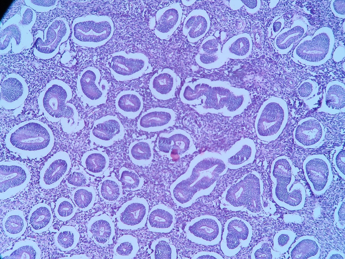 T.JeffLimMD tweet media