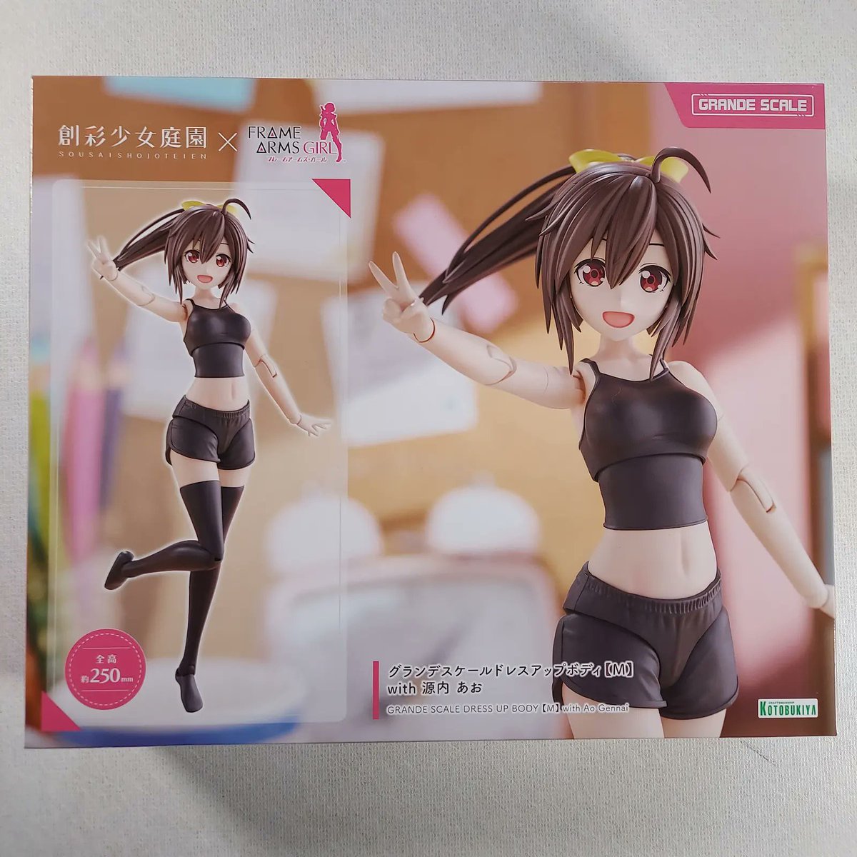 グランデスケールドレスアップボディ【M】源内 あお コトブキヤ特典