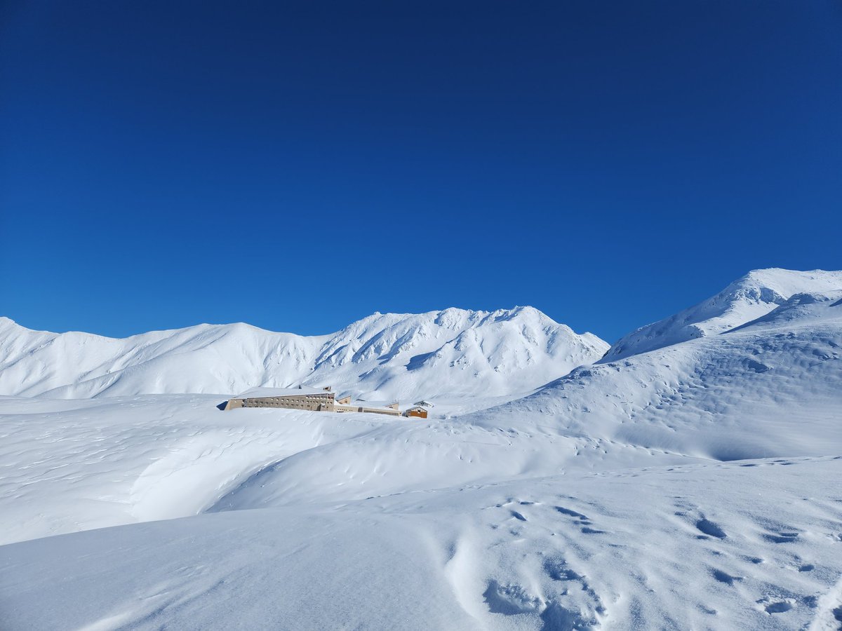 オムツァー (@omutuxa) / Posts / X