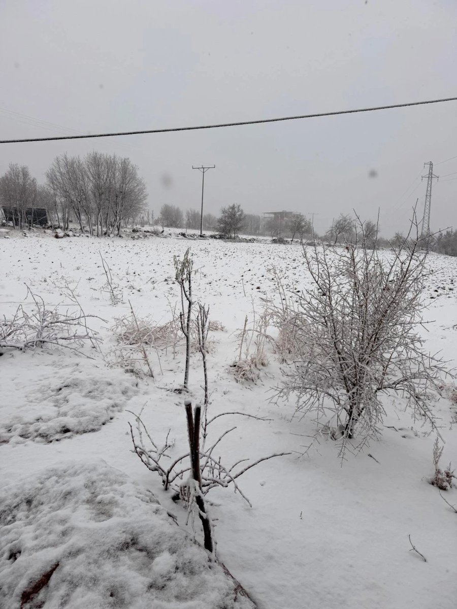 dybolaygazetesi's tweet photo. 🔴Çermik'in Kırsal Mahallelerine Mevsimin İlk Karı Yağdı
https://t.co/7q9QBp9kld
#Diyarbakır #Muhteşem #ErdenTimur #Sebahattin #sallandık #Deprem #500.000 TL Kredi! https://t.co/uE1n2B8EUY