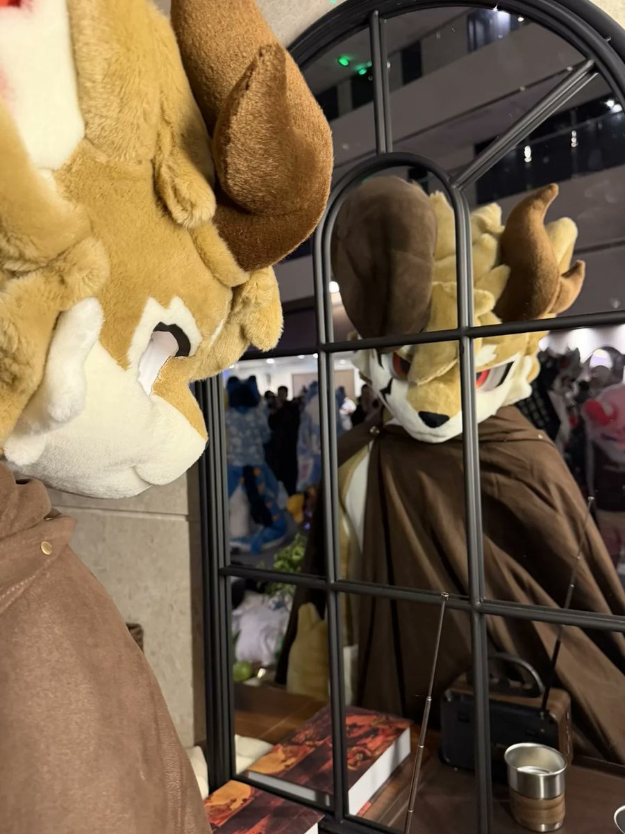 something extra～
一些额外的帅毛毛照～