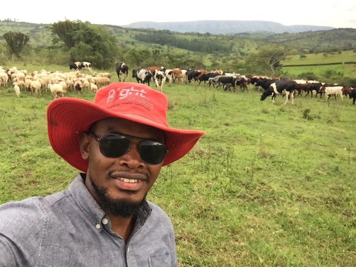 Novine_Farm's tweet photo. UNCOMFORTABLE TRUTH:

It’s far more profitable to produce a kg of lamb than a kg of beef. 

Sheep are far more profitable than goats and cows but my brothers and sisters in farming are not ready for that conversation. 

#RaisedByCows https://t.co/paMlxjcpgW