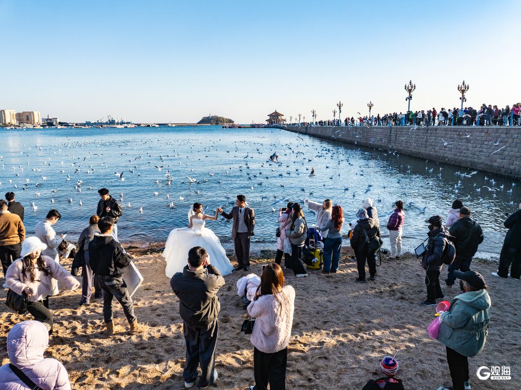 InQingdao tweet media