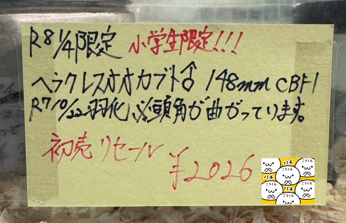 こうちん tweet media
