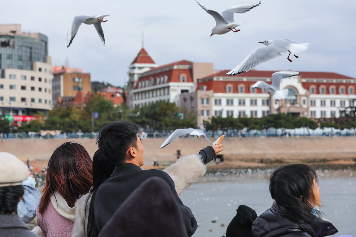 InQingdao tweet media