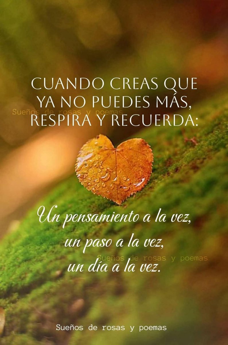 VidaEquilibrad4 tweet picture