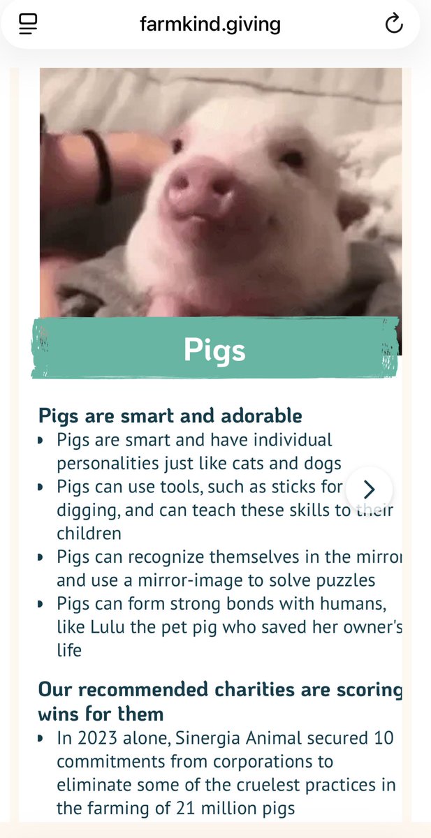 9_inside_9's tweet photo. @farmkind_giving What an absolute crock of shit, unsurprising from the egos involved. So pigs are all these things and Farmkind is content for them to be eaten as long as they’re not kept on cages? No need to try to - crazy thought - defend the rights of pigs to be more than a sandwich filling? https://t.co/GaKvZQZaES